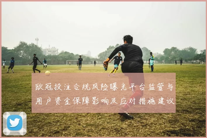 欧冠投注合规风险曝光平台监管与用户资金保障影响及应对措施建议