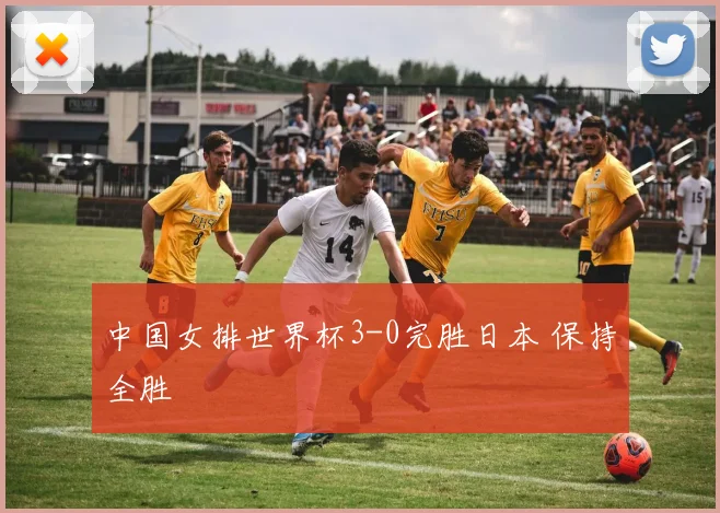 中国女排世界杯3-0完胜日本 保持全胜